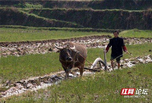 点击这里给我发消息